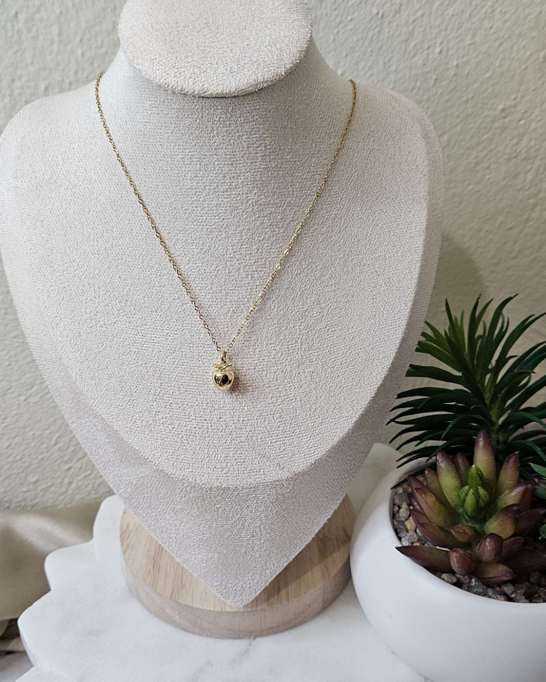 Collar Manzanita