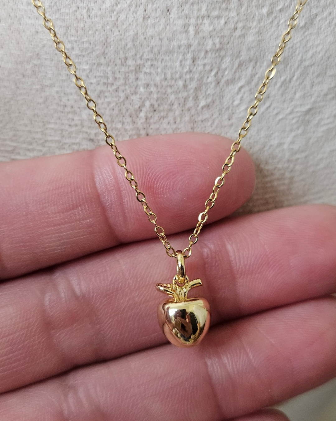 Collar Manzanita