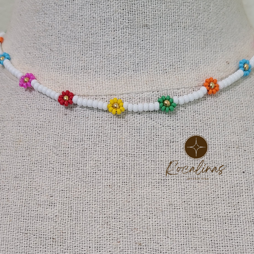 Collar Multicolor